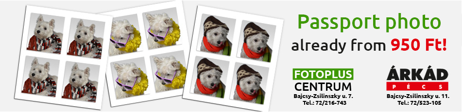 Passport photo
