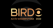 Birdo: Az év madárfotósa 2022 - Madarak égen, földön, sőt víz alatt