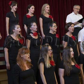 Mixed choir Josip Štolcer Slavenski, Gouriena Vocal Ensemble